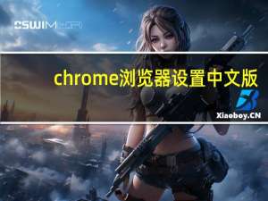 chrome浏览器设置中文版