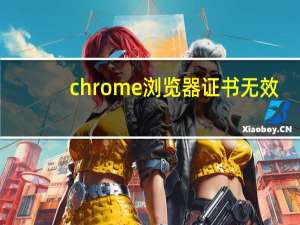 chrome浏览器证书无效