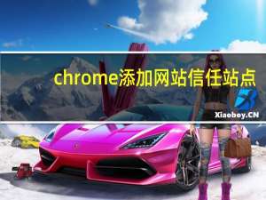 chrome添加网站信任站点