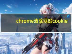 chrome清除网站cookie