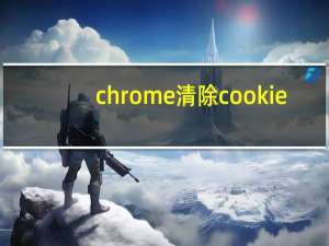 chrome清除cookie