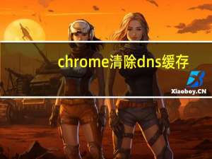 chrome清除dns缓存