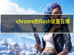 chrome的flash设置在哪