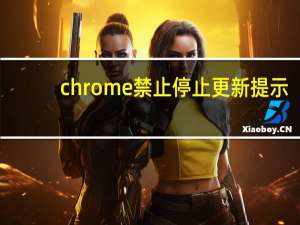 chrome禁止停止更新提示
