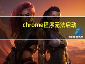 chrome程序无法启动