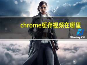 chrome缓存视频在哪里