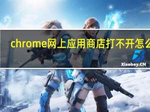 chrome网上应用商店打不开怎么办