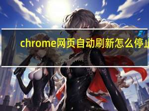chrome网页自动刷新怎么停止