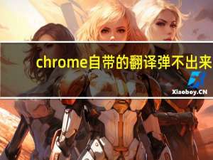 chrome自带的翻译弹不出来