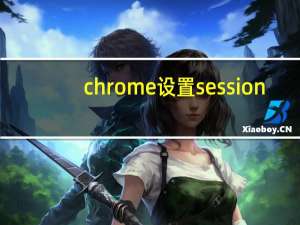chrome设置session