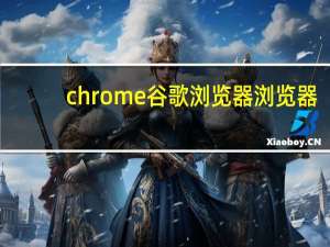 chrome谷歌浏览器浏览器