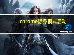 chrome隐身模式启动