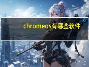 chromeos有哪些软件