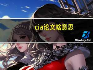 cia论文啥意思