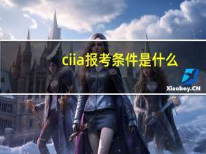 ciia报考条件是什么
