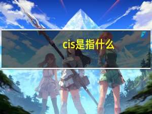 cis是指什么