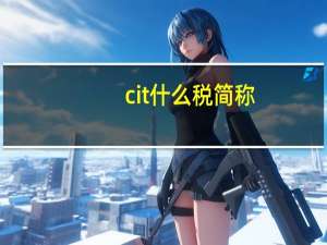 cit什么税简称