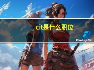cit是什么职位