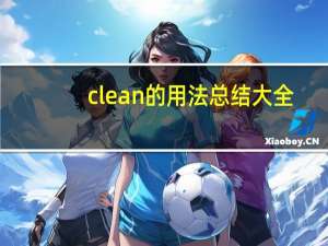 clean的用法总结大全