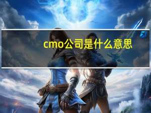 cmo公司是什么意思（cmo是什么意思）