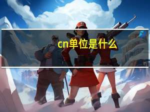 cn单位是什么