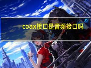 coax接口是音频接口吗