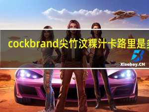 cock brand 尖竹汶粿汁卡路里是多少