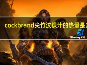 cock brand 尖竹汶粿汁的热量是多少