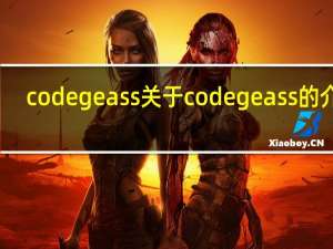 codegeass 关于codegeass的介绍