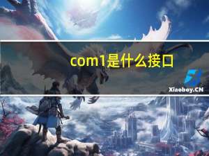 com1是什么接口（COM1是什么端口）