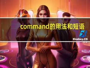 command的用法和短语