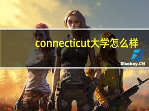 connecticut大学怎么样