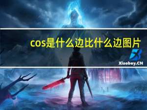 cos是什么边比什么边图片（cos是什么边比什么边）