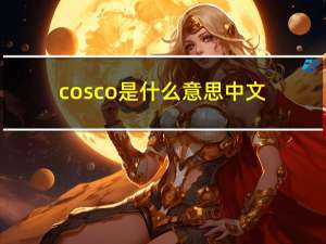 cosco是什么意思中文（cosco是什么意思）