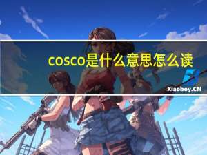cosco是什么意思怎么读（cosco是什么意思）