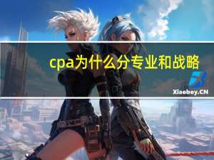 cpa为什么分专业和战略