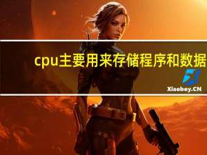 cpu主要用来存储程序和数据