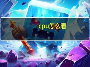 cpu怎么看