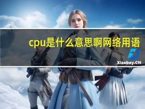 cpu是什么意思啊网络用语（cpu是什么意思）