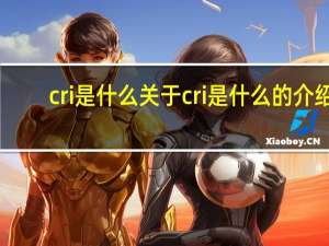 cri是什么 关于cri是什么的介绍