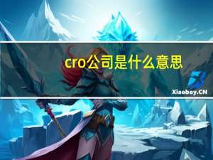 cro公司是什么意思