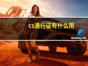 cs通行证有什么用