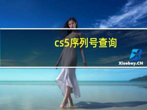 cs5序列号查询（cs5序列号）