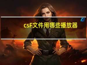 csF文件用哪些播放器（csf文件）