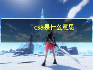 csa是什么意思