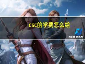 csc的学费怎么给