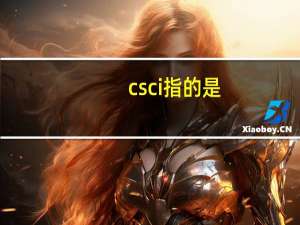 csci指的是