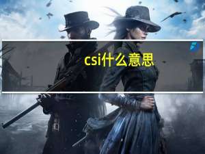 csi什么意思