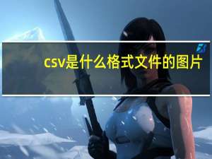 csv是什么格式文件的图片（csv是什么格式）