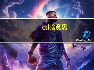 ctl啥意思